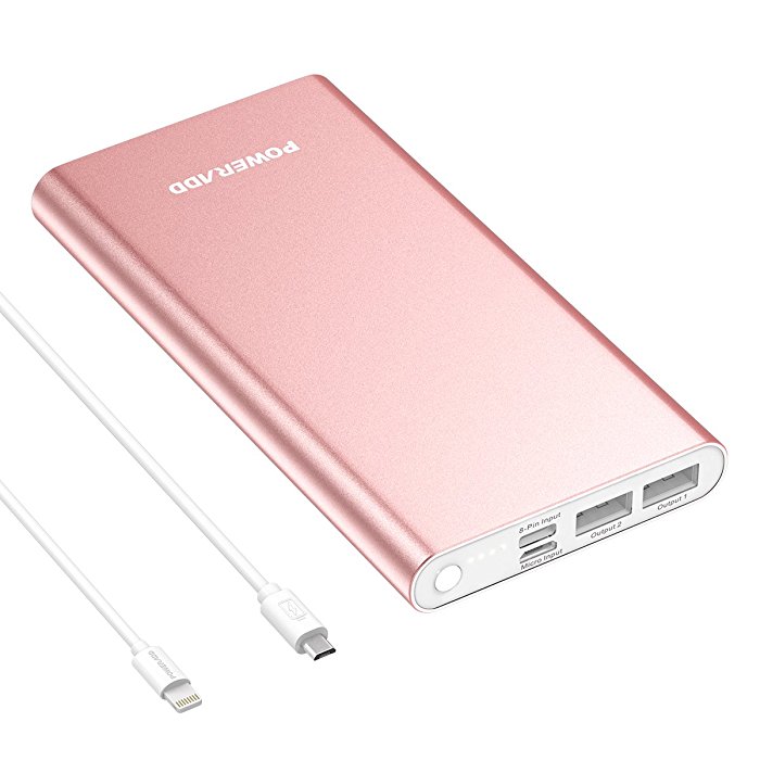 Pilot 4GS Pro Robust Power Bank With Lightning Input & Micro Input